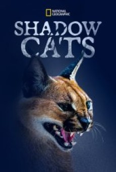 SHADOW CATS (2022) - ดูหนังออนไลน์